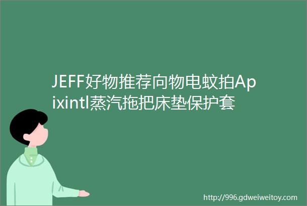 JEFF好物推荐向物电蚊拍Apixintl蒸汽拖把床垫保护套