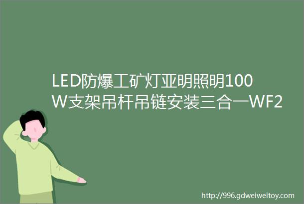 LED防爆工矿灯亚明照明100W支架吊杆吊链安装三合一WF2